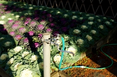 水道