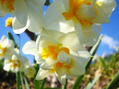 陽ざしを浴びて