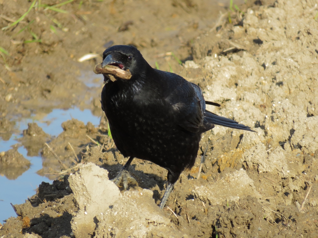 良くできました◎