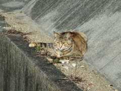 一休み