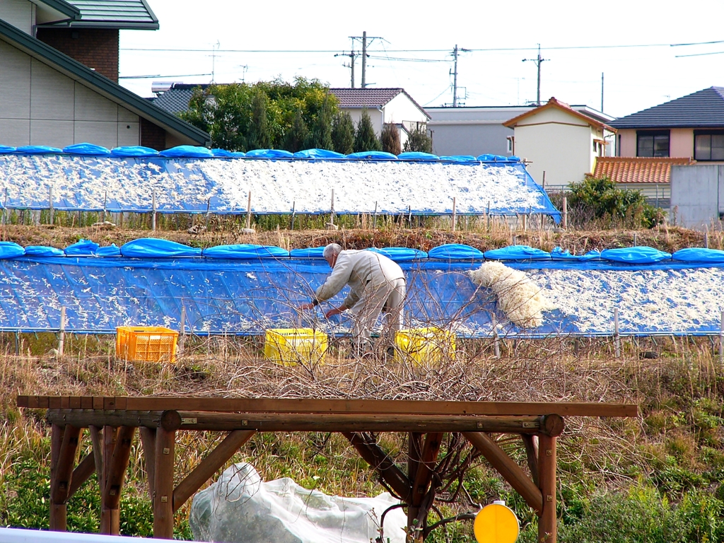 冬景色