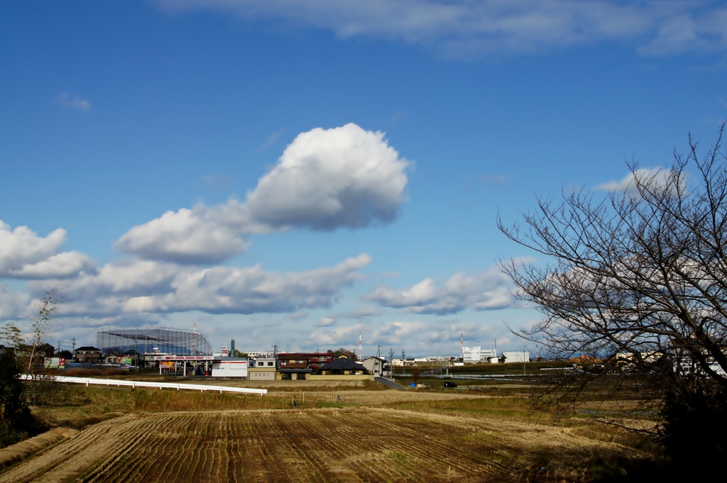 初冬の雲