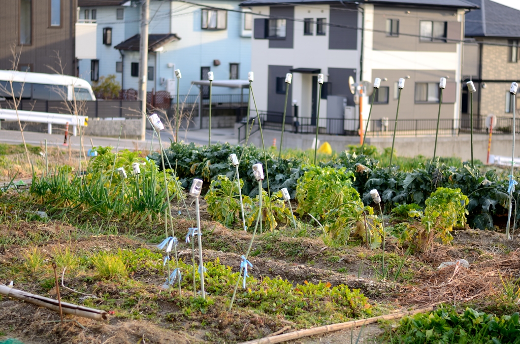 カラン、カラン♪