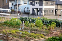 カラン、カラン♪