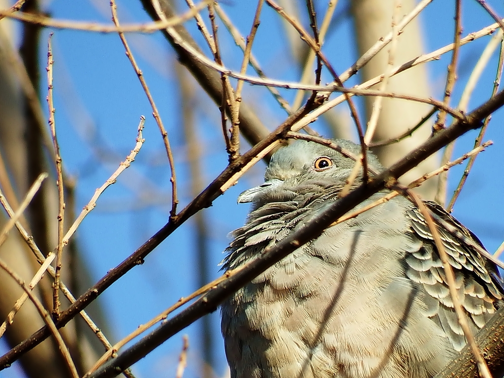 フ・フ・フ・・・・