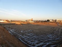 翳りゆく、田んぼ
