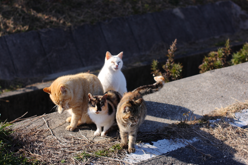 おい！わかってるの！