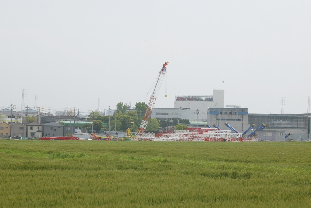 麦畑の向こう側