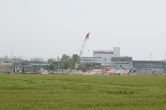 麦畑の向こう側