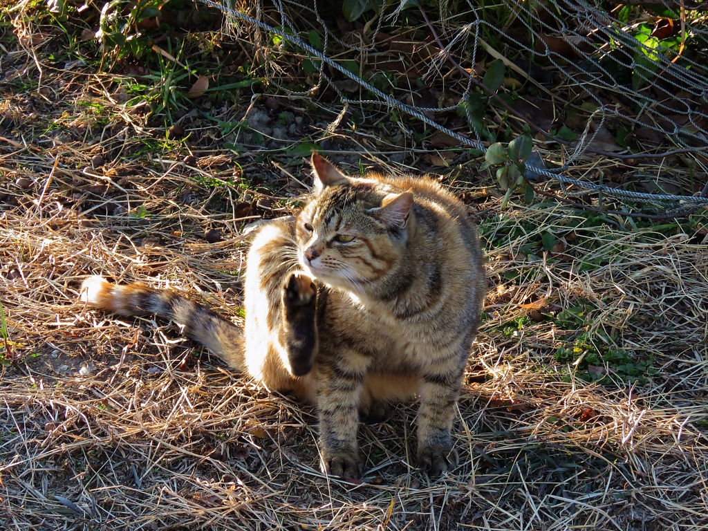 ん～カキカキ！