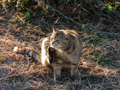 ん～カキカキ！