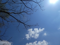 青空