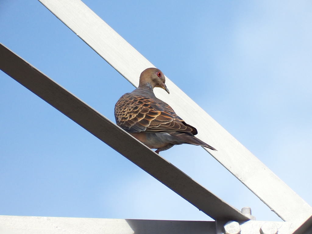 右、異常なし！