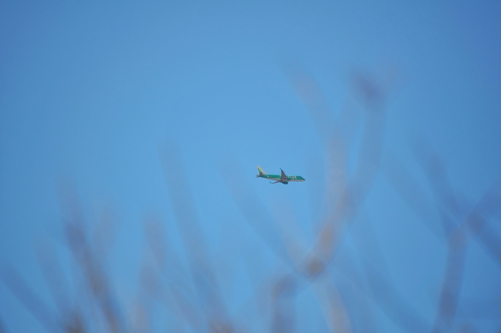 飛行機