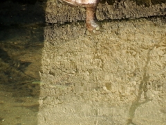 水面に