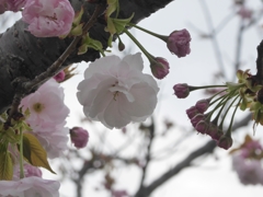 これから、出番だ