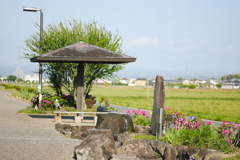 春の休憩所
