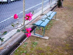 ベンチ