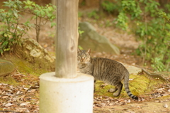 えっ、何