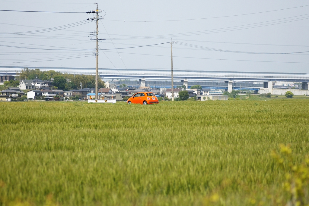 オレンジ色の車