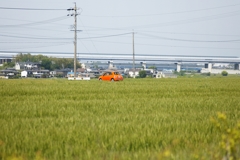 オレンジ色の車