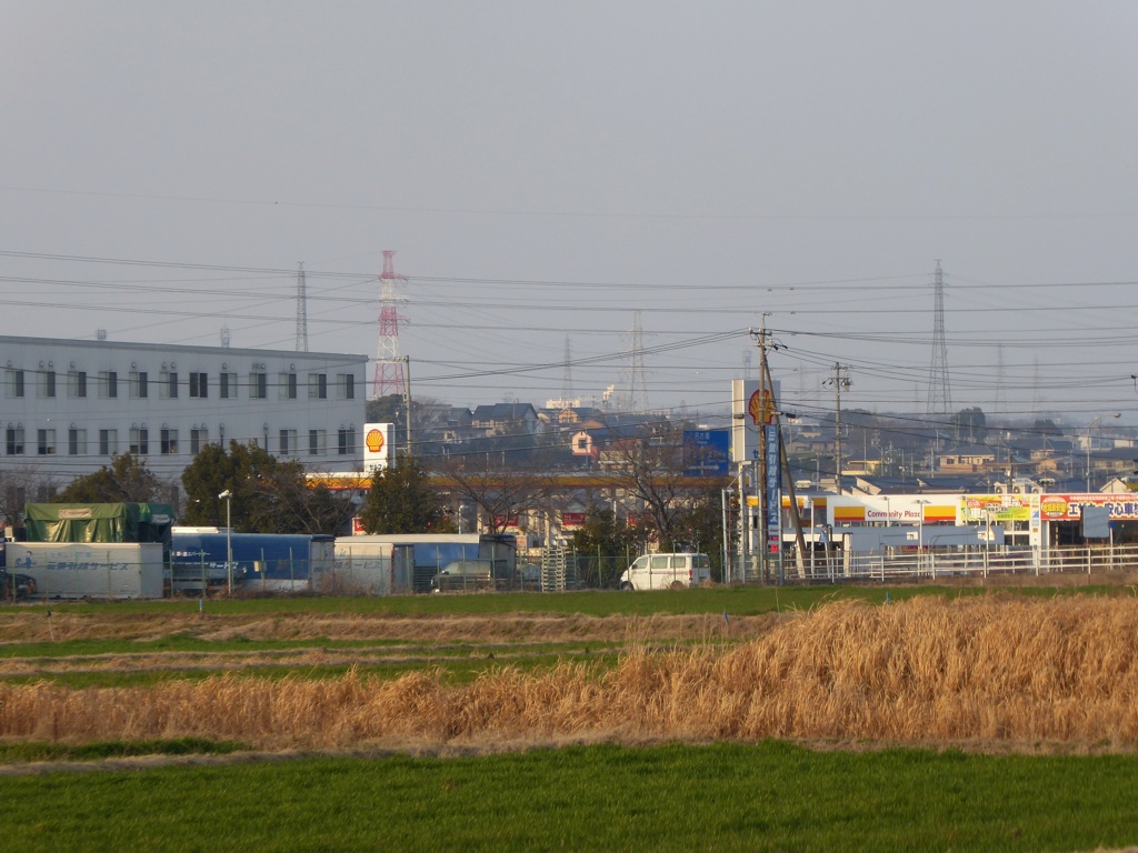 かすかな、賑わい