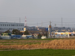 かすかな、賑わい