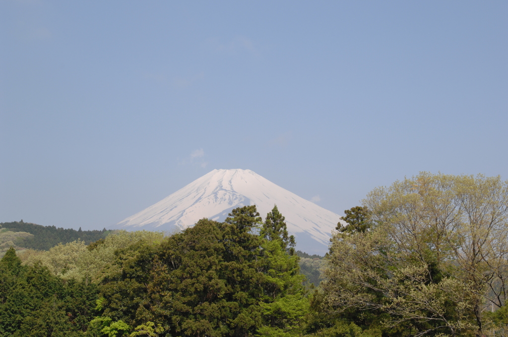 富士山