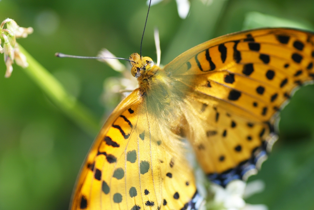 陽ざしがいっぱい