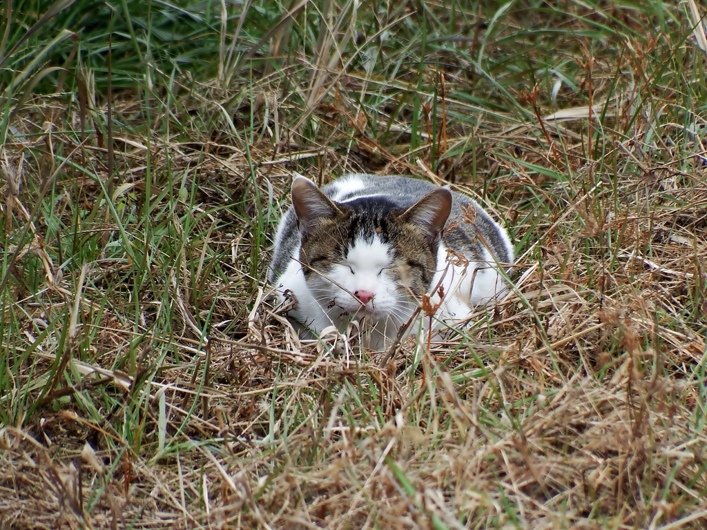 にんまり