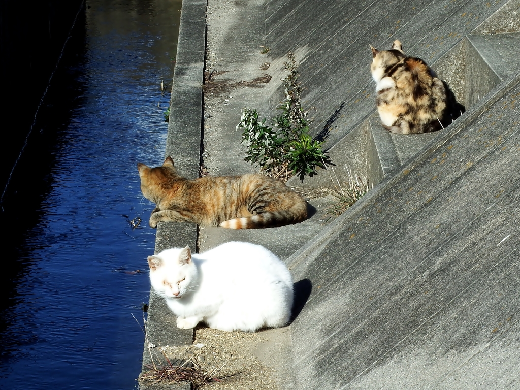まったり