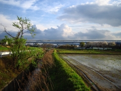 雨上がりの陽ざし
