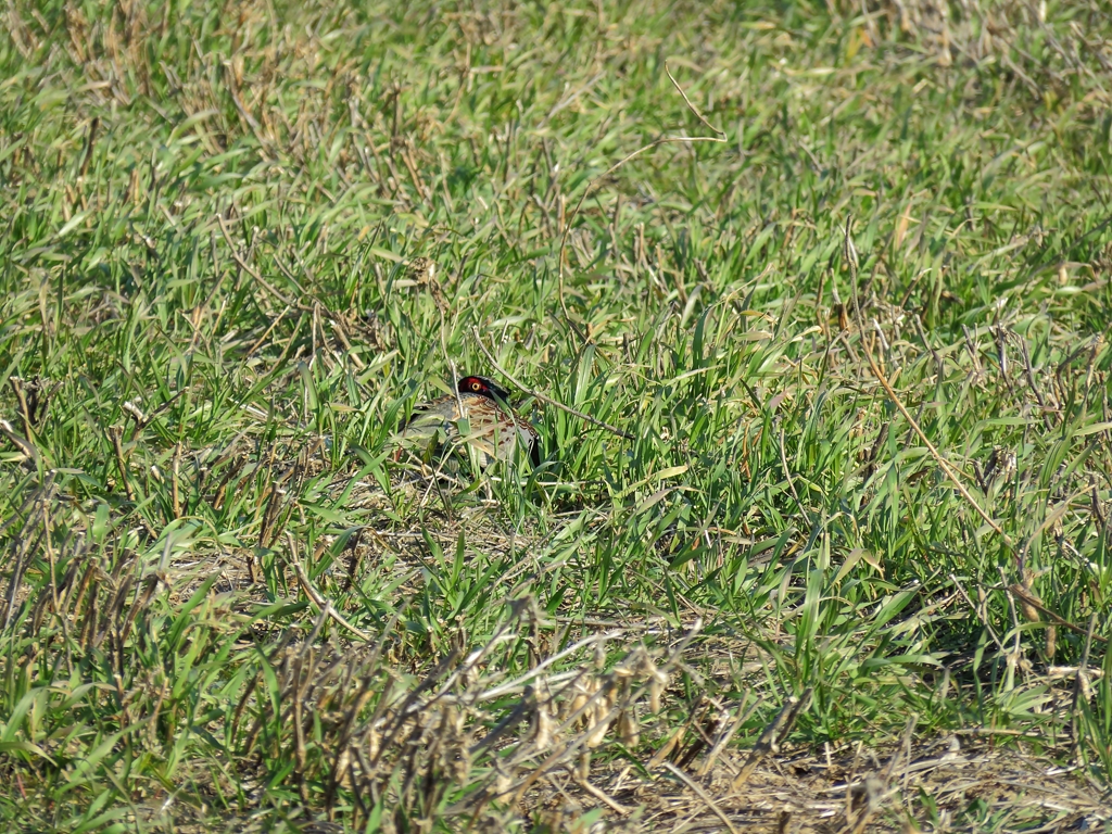 これは、わからない！