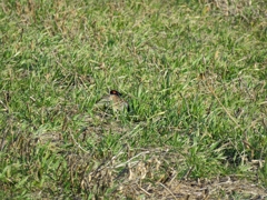 これは、わからない！