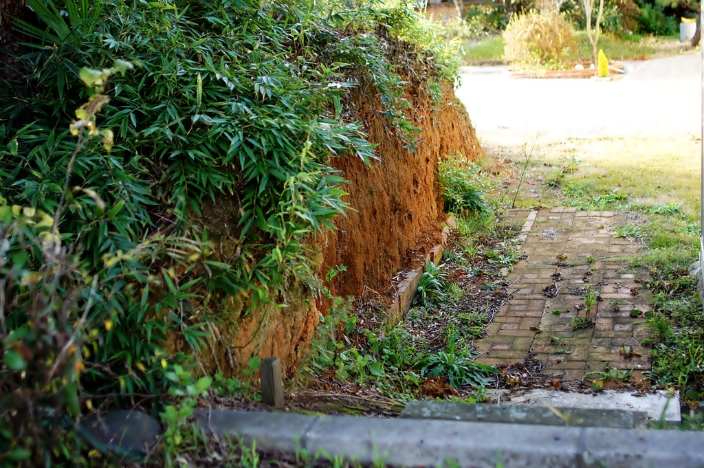 赤土の土手