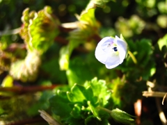 陽射しいっぱいに