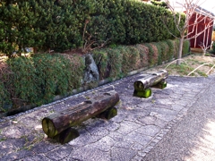 ベンチ