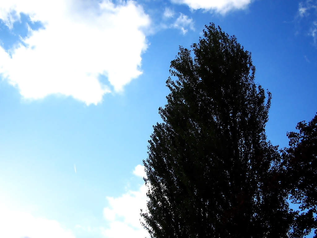 大空