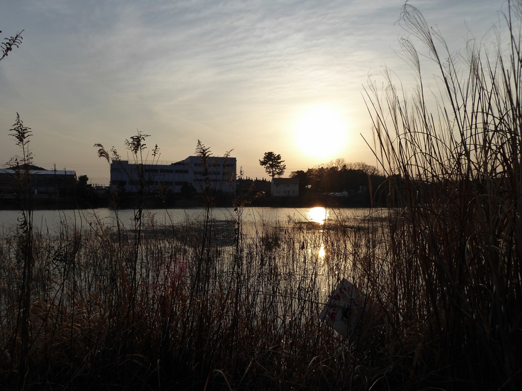 日暮れの池端