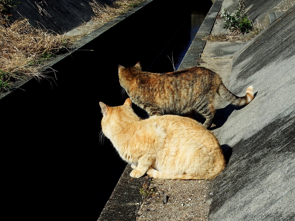 な、なんだ！