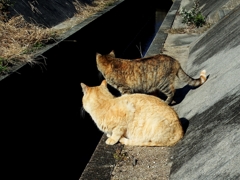 な、なんだ！