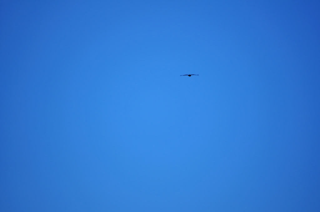 すっきり、青空