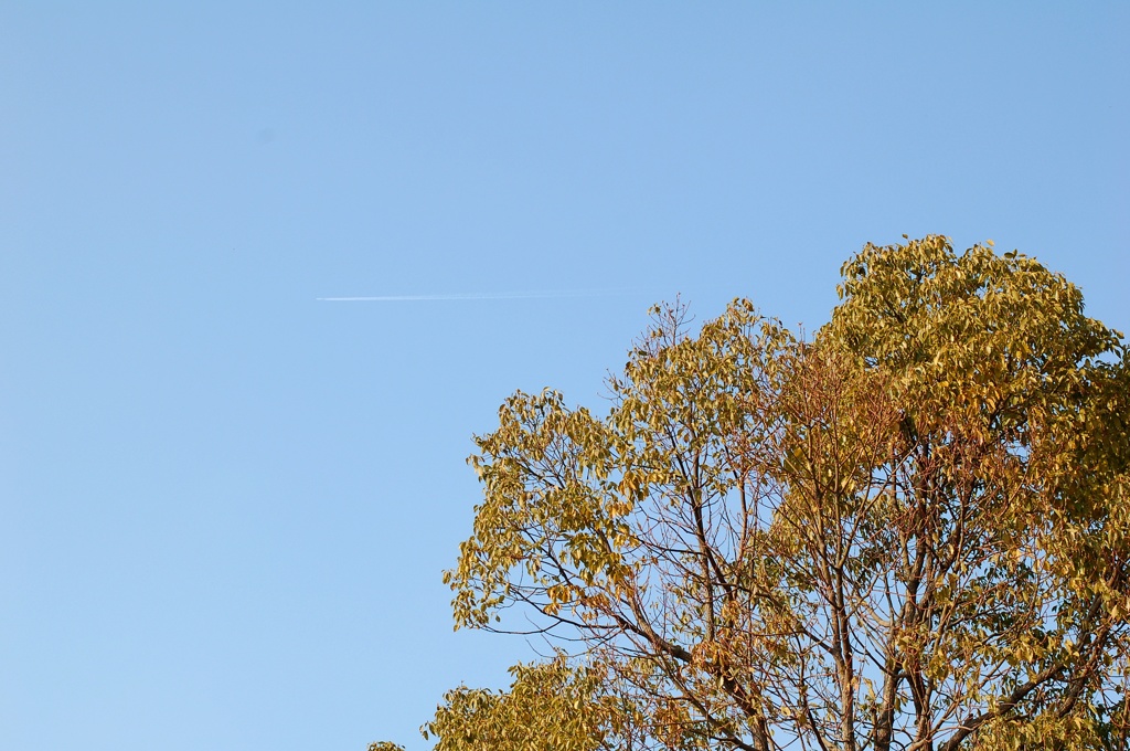 飛行機雲