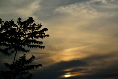 うっすら暮れる