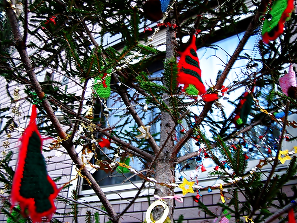 クリスマス