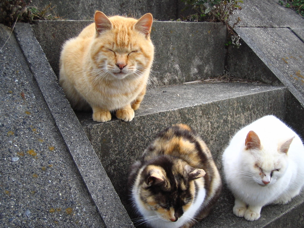 お、おい、寝るなよ！