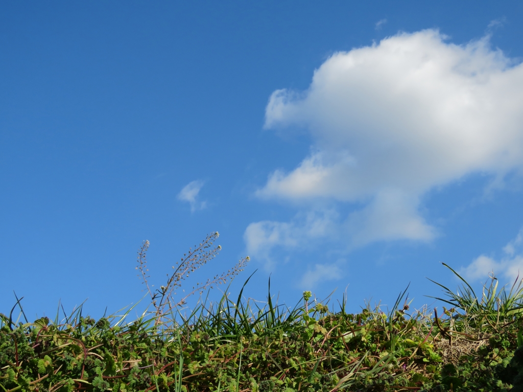 なんか、のどか