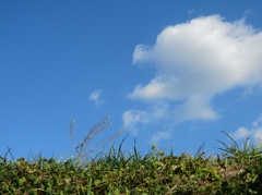 なんか、のどか