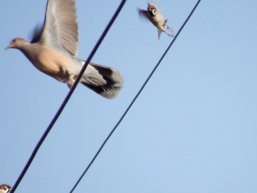 遅れをとるな！