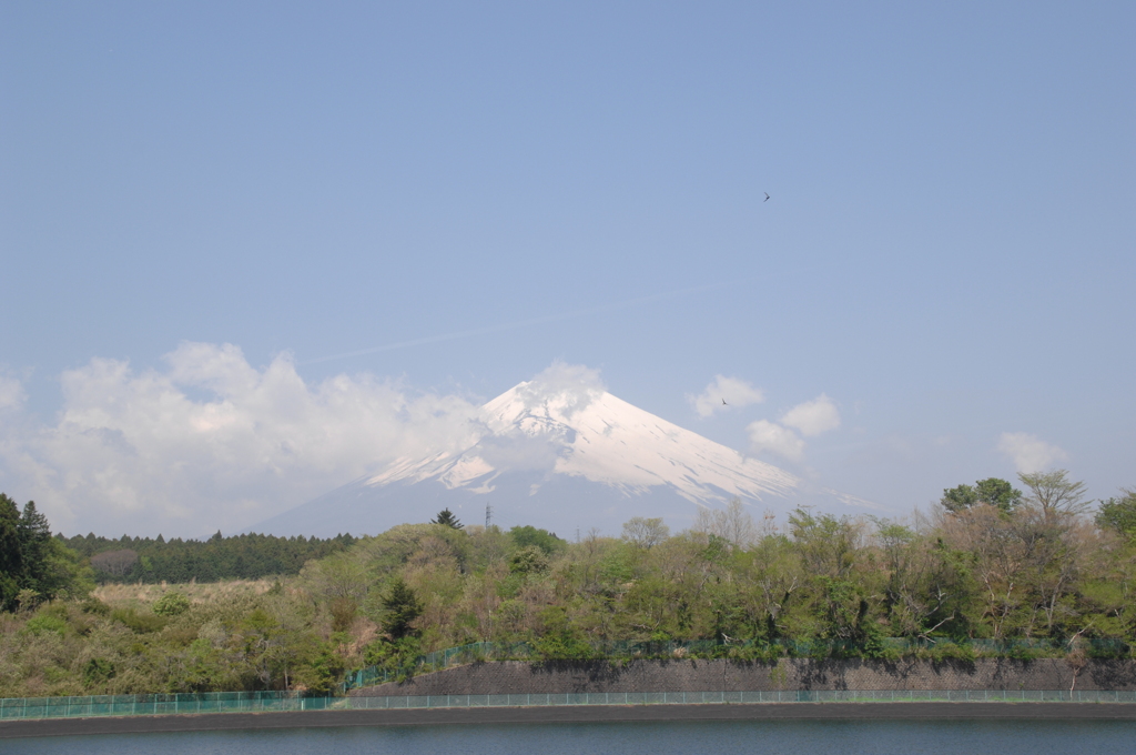 ため池越しの富士